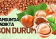 11 Şubat 2026'da Samsun Fındık Fiyatları Ne Durumda?