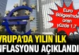2026 Yılı Ocak Ayında Avrupa'da Enflasyon Oranı Ne Kadar Oldu?