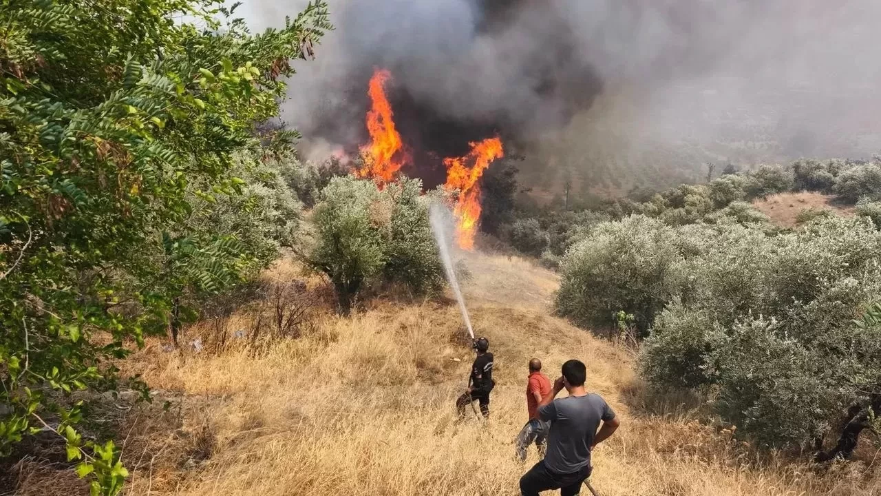 Orman Gönüllülerine Şehit Statüsü Getirildi