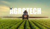 Agrotech (AGROT) 2025 Yılı 4. Çeyrek VUK Kayıtlarında Geçen Net Kârını Açıkladı