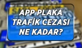 APP plaka trafik cezası 2026: Nedir, nasıl ayırt edilir ve cezası ne kadar?