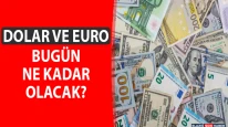 15 Şubat 2026 Dolar ve Euro Fiyatları Ne Durumda?