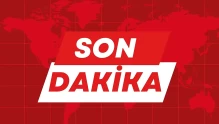 Network Xai, Elon Musk'a Ticari Marka Çatışması Nedeniyle Dava Açtı