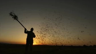 Çiftçilere 476 Milyon Liralık Destek Ödemesi Bugün Hesaplara Yatırılacak