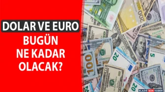 15 Şubat 2026 Dolar ve Euro Fiyatları Ne Durumda?