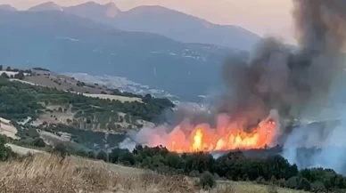 Balıkesir Susurluk'taki Orman Yangını Kontrol Altına Alındı