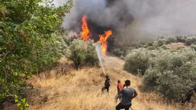 Orman Gönüllülerine Şehit Statüsü Getirildi