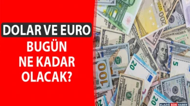 15 Şubat 2026 Dolar ve Euro Fiyatları Ne Durumda?