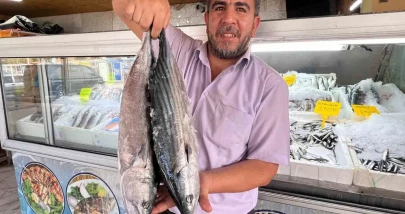 Deprem Sonrası Kahramanmaraş'tan 54 Ülkeye Balık İhracatı