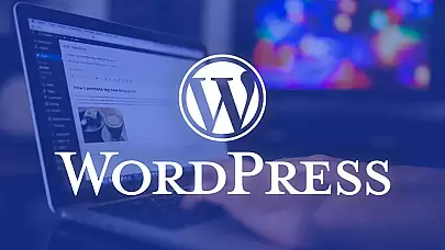 Wordpress siteleri için güvenlik riski: Dessky Snippets