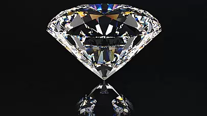 Dünyanın İkinci En Büyük Elması Keşfedildi: Göz Kamaştırıcı Bir Keşif!