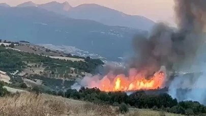 Balıkesir Susurluk'taki Orman Yangını Kontrol Altına Alındı