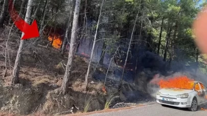 Muğla'nın Ortaca İlçesinde Araç Yangını Ormana Sıçradı