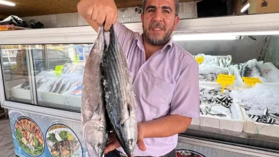 Deprem Sonrası Kahramanmaraş'tan 54 Ülkeye Balık İhracatı