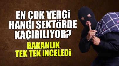 Hazine ve Maliye Bakanlığı'nın Denetimlerinde Madencilik Sektörü Vergi Kaçakçılığında Zirveye Yerleşti Mi?