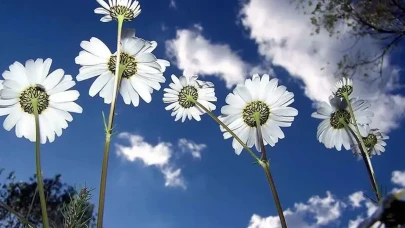 Üçüncü cemre ne zaman düşecek ve bu olayın anlamı nedir?