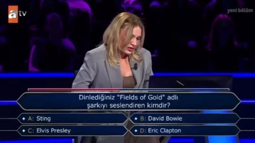 Fields of Gold Şarkısını Kim Seslendirdi?