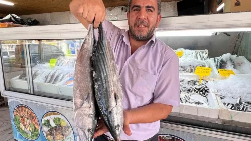 Deprem Sonrası Kahramanmaraş'tan 54 Ülkeye Balık İhracatı