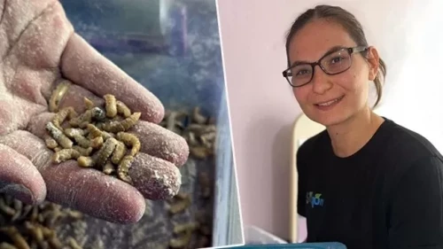 Edirne'de Doğal Ürün Üretimi: Simay Gün'ün Başarı Hikayesi