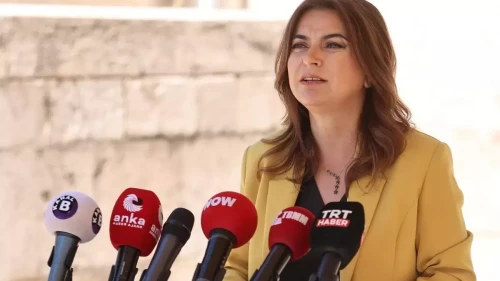 DEM Parti'den Terörsüz Türkiye İçin Acil Çözüm Çağrısı