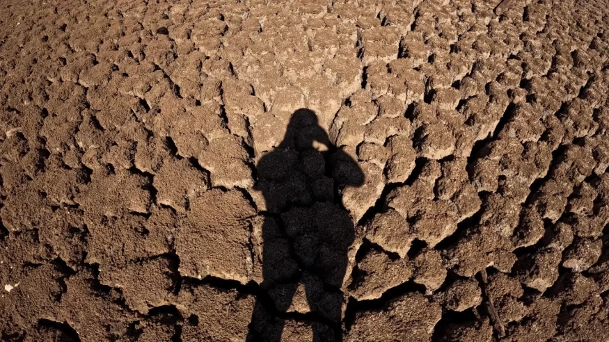 Kuraklığın Acı Yüzü: Taşlık Göleti Artık Yok