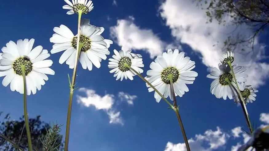 Üçüncü cemre ne zaman düşecek ve bu olayın anlamı nedir?